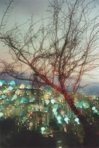 267_jesus-geira-y-vicente-llorca-Arbre-stampa-digitale-su-plessiglass-cm-80-x-120-anno-2005