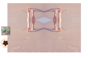 621_Eugenio-Vizuete-I-Mu-ToKu-Ko-stampa-digitale-su-Plessiglass-cm-120-x-80-anno-20051