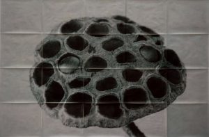 635_Sergio-Zavattieri-lotusfrutoverde-cm-300-x-200-anno-2006-emulsione-fotografica