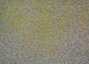 109_Fabrizio-Bertuccioli-Senza-titolo-olio-su-tela-cm-70×50-anno-2007